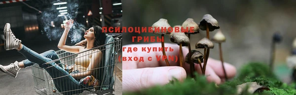 стафф Армянск