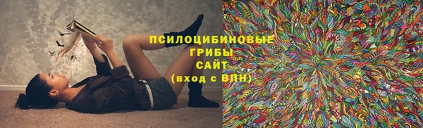 винт Арсеньев