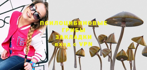 стафф Армянск