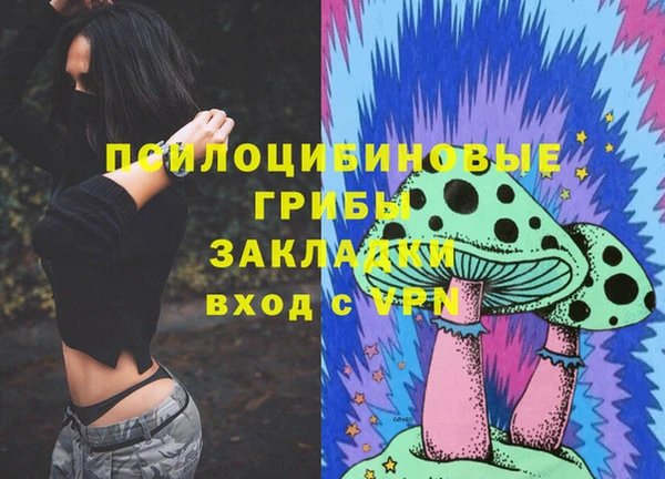 стафф Армянск